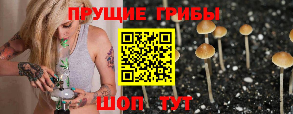 Псилоцибиновые грибы прущие грибы  Вход с VPN  Галлюциногенные грибы Magic Shrooms  Назарово 